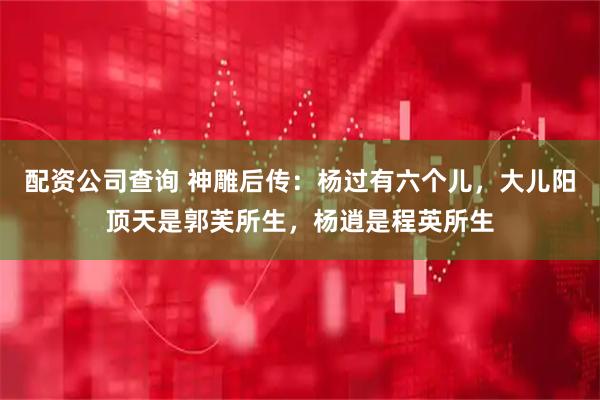 配资公司查询 神雕后传:杨过有六个儿,大儿阳顶天是郭芙所生,杨逍是程英所生