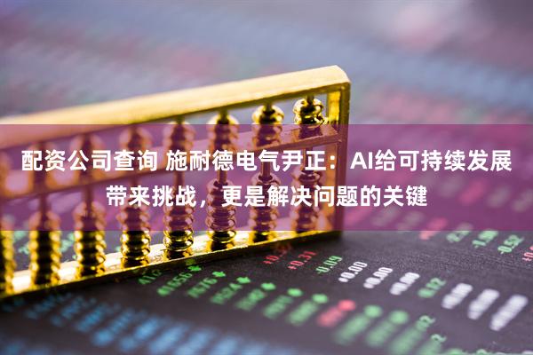 配资公司查询 施耐德电气尹正:AI给可持续发展带来挑战,更是解决问题的关键