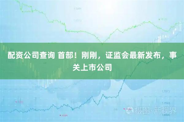 配资公司查询 首部！刚刚，证监会最新发布，事关上市公司