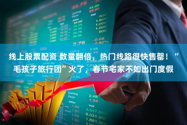 线上股票配资 数量翻倍，热门线路很快售罄！“毛孩子旅行团”火了，春节宅家不如出门度假